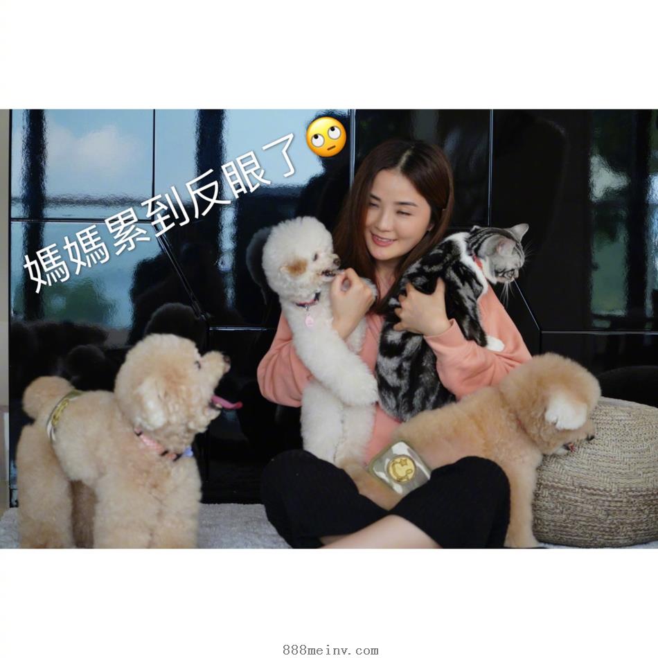 蔡卓妍三只爱犬庆生幸福可爱美照图片