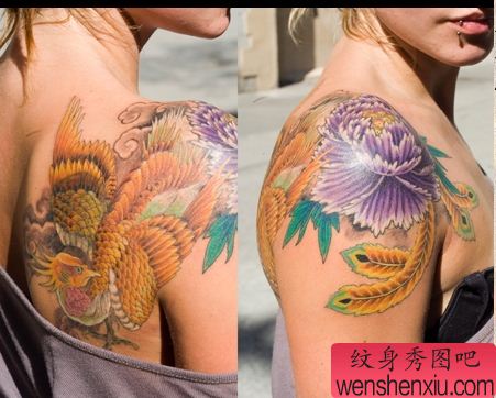国外美女肩膀牡丹凤凰女生隐私部位的图案纹身