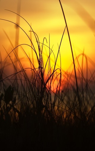 夕阳下的美景手机图片壁纸